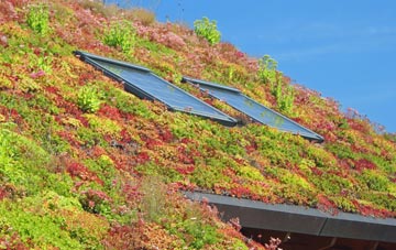 Herrings Green living roof systems